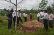 Dự án chuyển đổi 50.000 ha đất rừng nghèo sang trồng cao su: Những vấn đề đặt ra